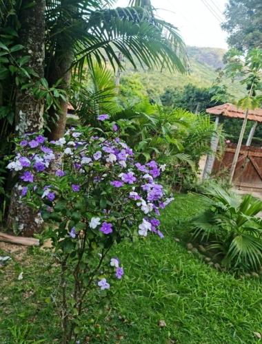 sitio borges