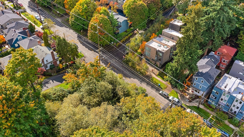 skywalker rebel base