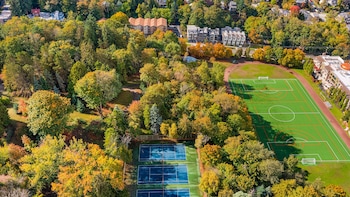 skywalker rebel base