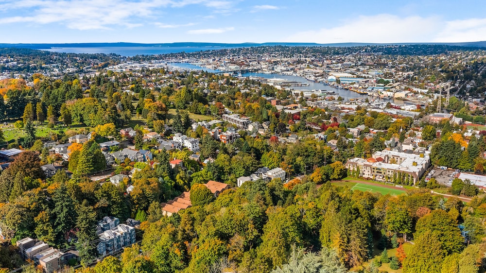 skywalker rebel base