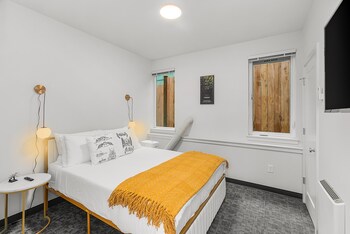 skywalker rebel base