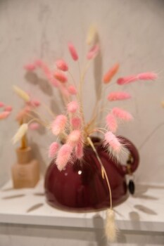 elementum hotel bandb