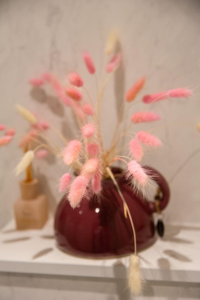 elementum hotel bandb