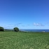 whitby