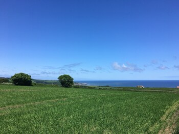 whitby