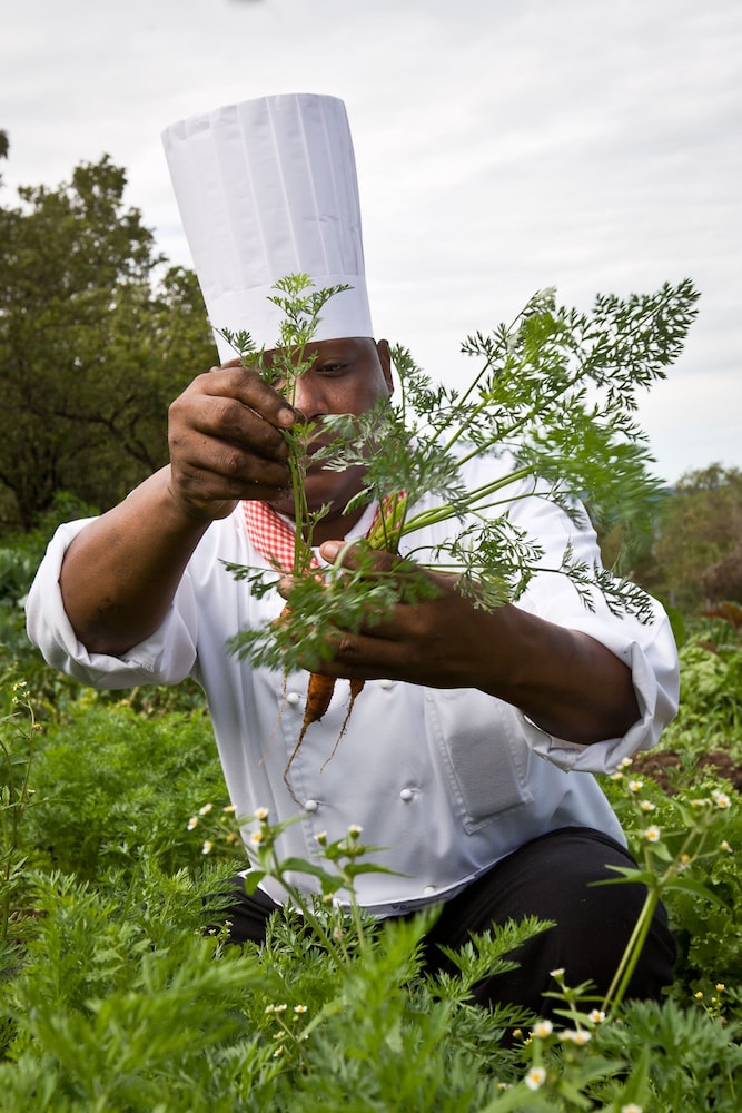 masai mara sopa lodge