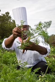 masai mara sopa lodge