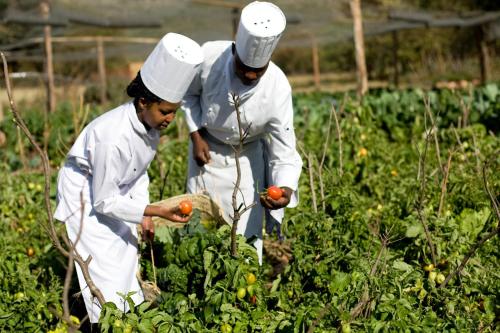 masai mara sopa lodge