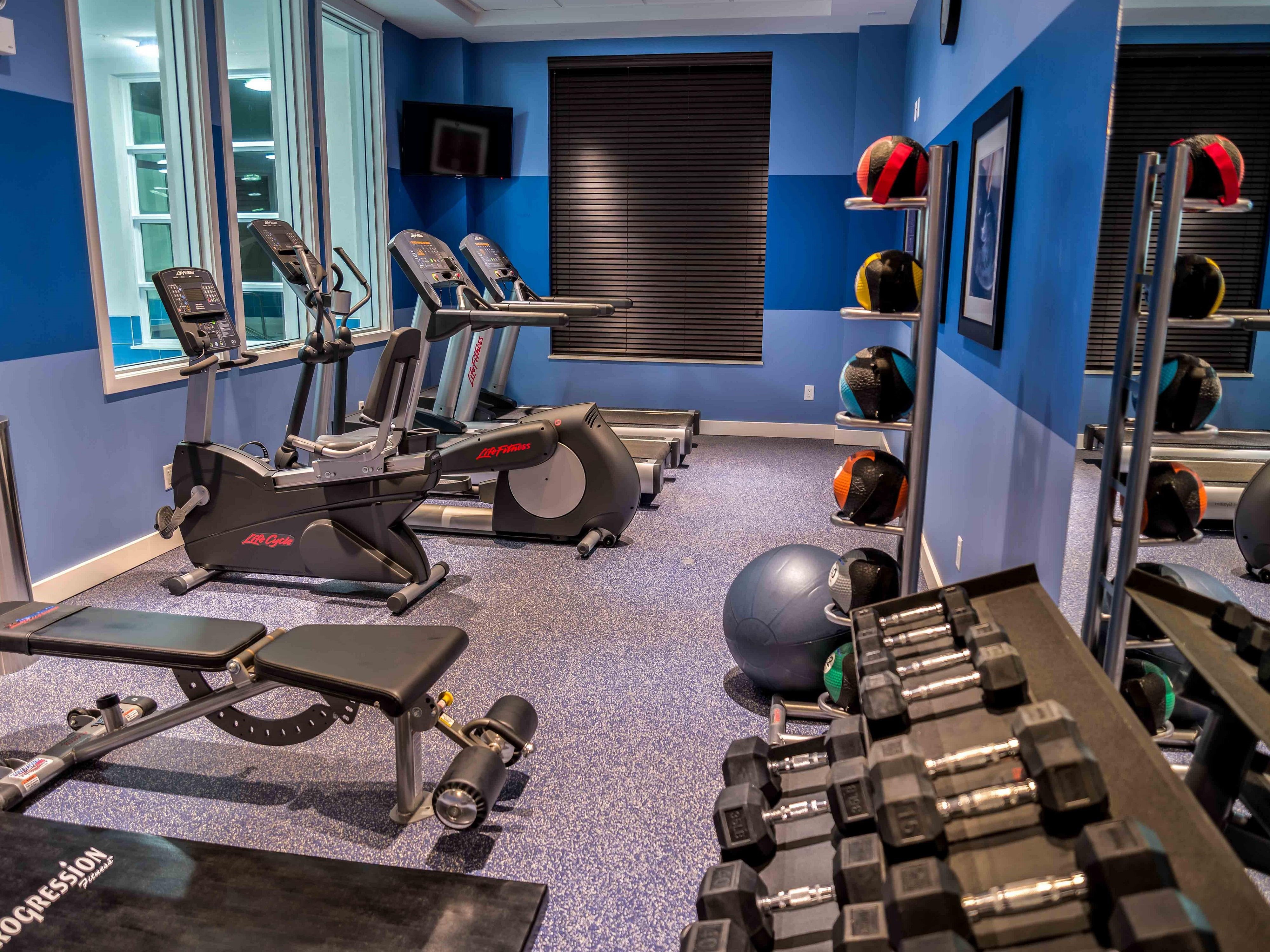 holiday inn express and suites toronto airport west by ihg
