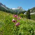 bardonecchia