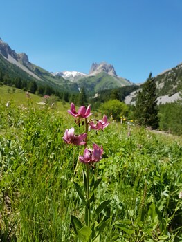 bardonecchia