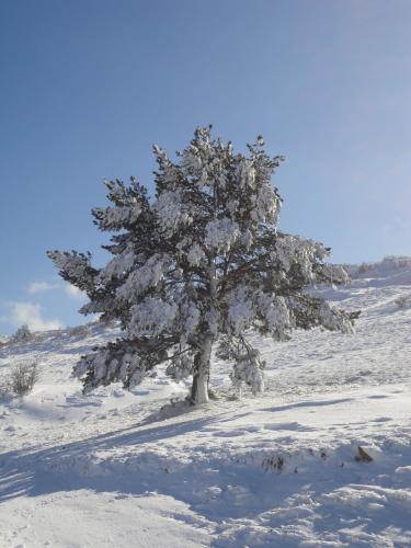 hospederia palacio de allepuz