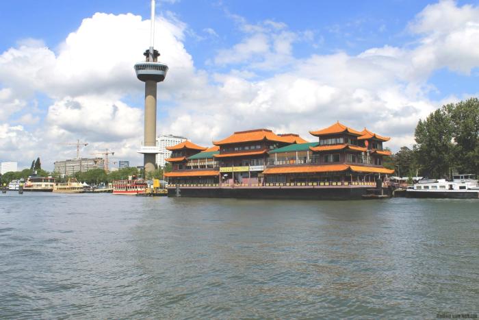 hotel new ocean paradise