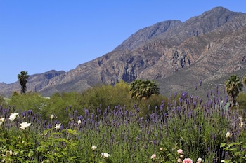 montagu vines guest house