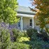 montagu vines guest house