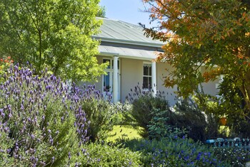 montagu vines guest house