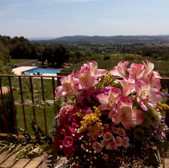 Mas Ses Vinyes - Adults Only,Near Can Mario Museum,4 star