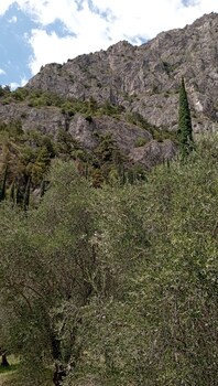 hotel locanda ruscello garni