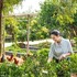 thann wellness destination