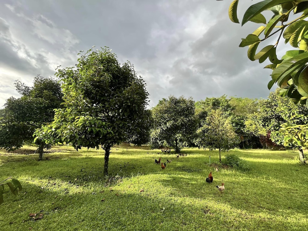 phrom khiri