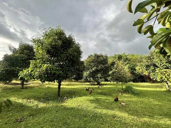 phrom khiri