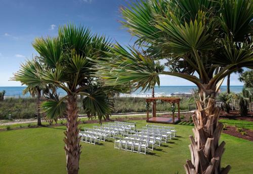 the ellie beach resort myrtle beach tapestry by hilton