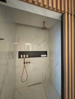 the lince santa clara