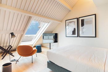 the lince santa clara