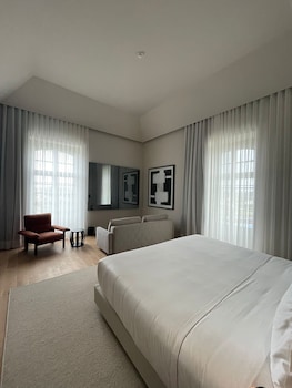 the lince santa clara