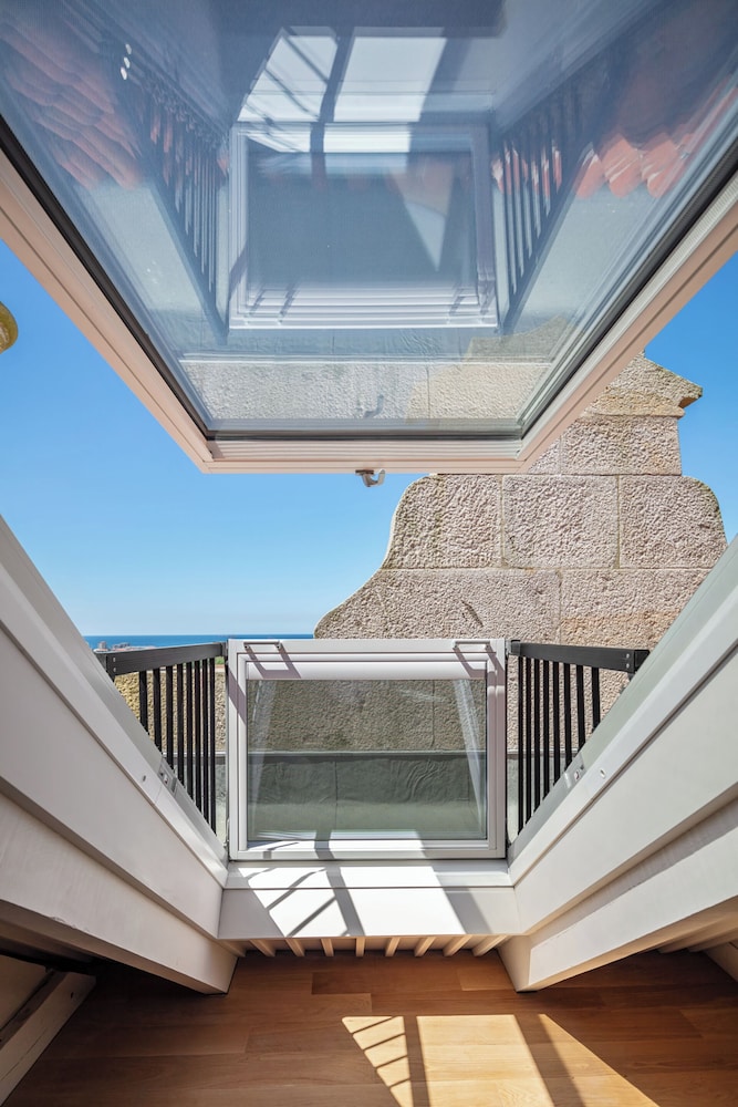 the lince santa clara