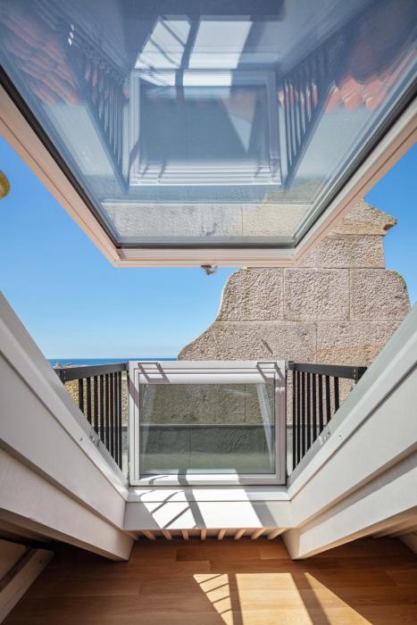 the lince santa clara