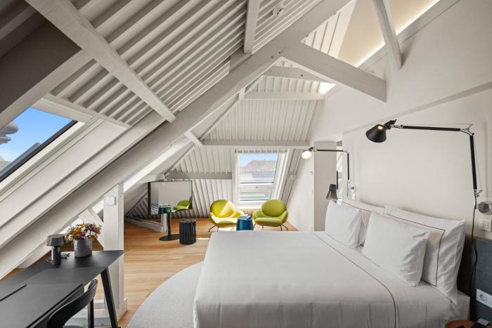 the lince santa clara