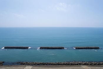 the ocean vista
