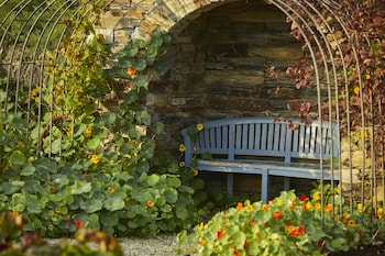 the pig at harlyn bay cornwall