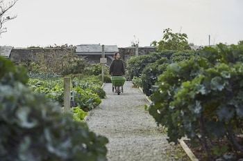 the pig at harlyn bay cornwall