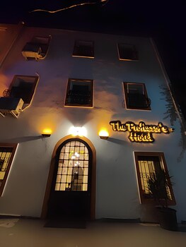 the professors hotel