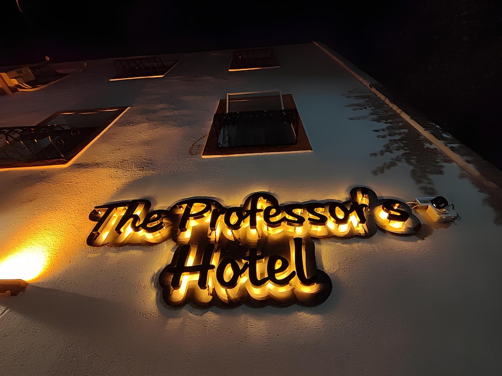 the professors hotel