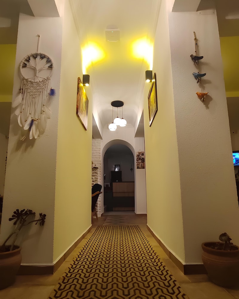 the professors hotel