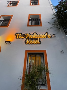 the professors hotel