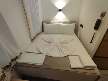 the professors hotel