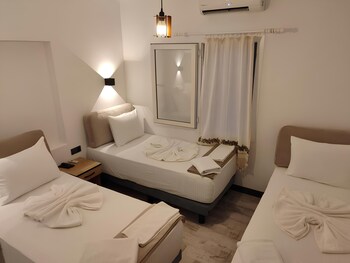 the professors hotel