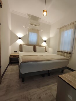 the professors hotel