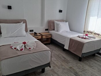 the professors hotel