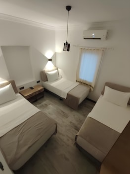 the professors hotel