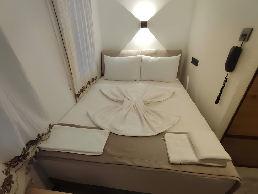 the professors hotel