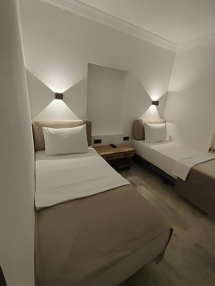 the professors hotel