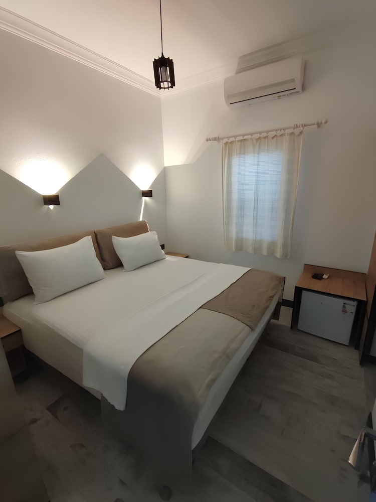 the professors hotel