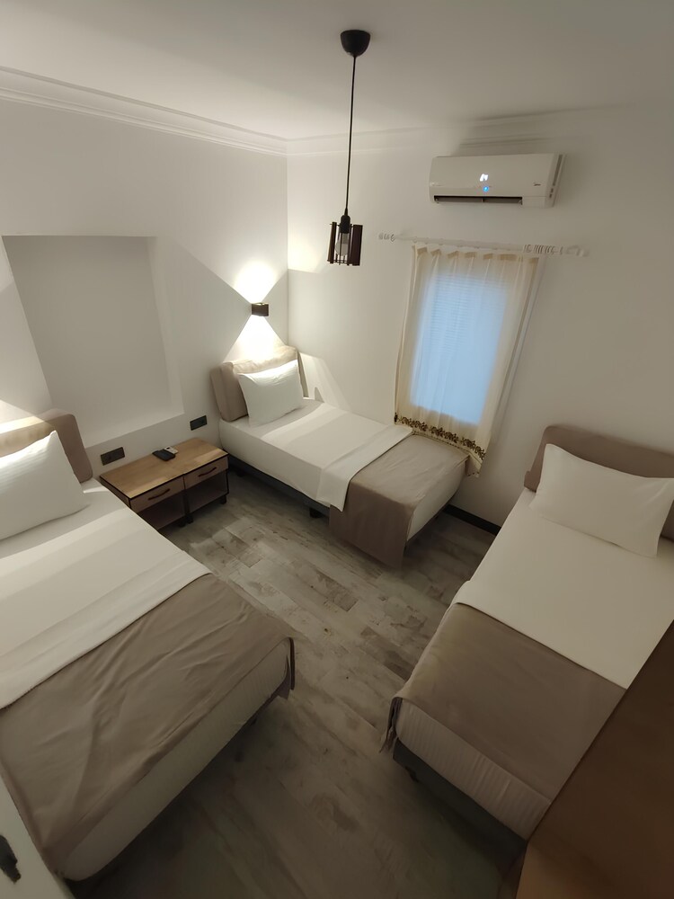 the professors hotel