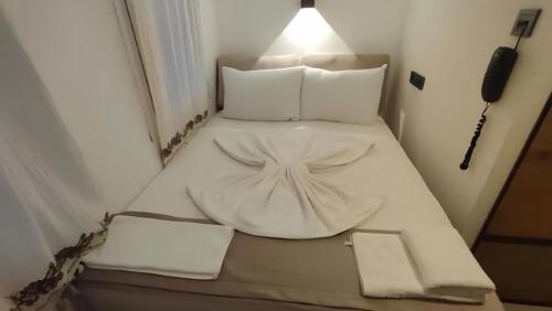 the professors hotel