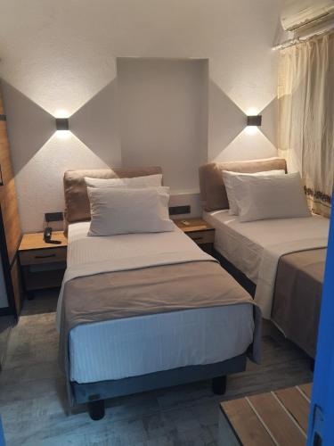 the professors hotel